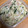 しゅんのま's cooksnap of when they made たまねぎときゅうりとツナのサラダ.