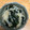 しゅんのま's cooksnap of when they made わかめともやしの中華和え.