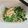 クックTVYJON☆'s cooksnap of when they made スピード水菜と三つ葉のおひたし.