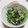 もぐ・ω・くま's cooksnap of when they made ♡ほうれん草とツナ缶の簡単副菜♡.