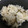 きりたんす's cooksnap of when they made 干しアミエビと塩昆布の炊き込みご飯.