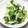 こむぎぱくぱく's cooksnap of when they made 大根と三つ葉の柚子胡椒サラダ.