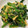 geranium♪'s cooksnap of when they made ほうれん草と卵白だし炒め.