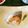 クック15FFG6☆'s cooksnap of when they made ガッテン!流鰤の塩焼き.