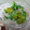 rin00020's cooksnap of when they made 新玉ねぎと菜の花のマスタード和え.