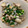 年中ねぼすけ's cooksnap of when they made スープまでおいしい！簡単アサリの酒蒸し.