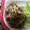 ぐーたら子☆'s cooksnap of when they made えのきと糸こんにゃくの炒め物♪.