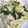 なつきよう's cooksnap of when they made 簡単！はんぺん中華野菜炒め.