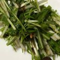 madoka‪‪♪♪'s cooksnap of when they made 毎日食べたい、水菜のごま和えサラダ.
