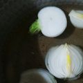 ふぁんたにゃん's cooksnap of when they made 和風　玉ねぎまるごとスープ.