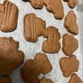 蒼色の鹿's cooksnap of when they made セノビック ココア クッキー 覚書.