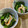 46chan's cooksnap of when they made 菜の花とカニカマの煮浸し.