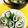 Nya6nya6's cooksnap of when they made 簡単＃豚とレタス外葉しゃぶロールとスープ.