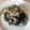Yokchina's cooksnap of when they made おかひじきの梅おかか和え.