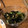 クックKOMOC5☆'s cooksnap of when they made ワカメときゅうりの酢の物.