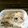 あんこだよ。's cooksnap of when they made 味噌ヨーグルトで漬け物.