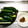 ぷっくりんご's cooksnap of when they made 超簡単！！キュウリのしょうゆの実のせ.