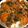 りり〜さん's cooksnap of when they made ねぎたま牛丼.