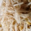 こびぃ。's cooksnap of when they made レンジで簡単もやしのナムル.