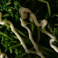 こびぃ。's cooksnap of when they made 豆苗ぽんマヨ♡.