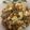 rikayuna's cooksnap of when they made つくしの煮物.
