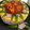 クックYM58K8☆'s cooksnap of when they made パーティー寿司.