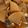 gatch2016's cooksnap of when they made siroca 電気圧力鍋で大根と鯖の煮物.