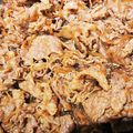 ☆193☆'s cooksnap of when they made 牛肉のしぐれ煮.