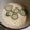 まゆコ's cooksnap of when they made フライパンで20分☆ぷるんぷるん茶碗蒸し.