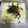 みりん調味料's cooksnap of when they made はんぺんの青海苔マヨチーズ焼き✨.