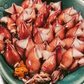 ｍビター's cooksnap of when they made ホタルイカの下処理方法.