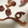 ノビル's cooksnap of when they made おつまみ！おやつにも！やわらかあたりめ.