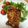 ほもい's cooksnap of when they made 豚のみそ漬け焼き.