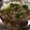 いっぺい99's cooksnap of when they made 野菜を焼肉豚ハラミと炒めたヤツ.