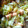momoazeru's cooksnap of when they made 厚揚げとキャベツとブロッコリーのうま煮.