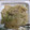 クック2S4JM3☆'s cooksnap of when they made 大根と豚肉のしょうが炒め.