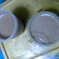 らみき's cooksnap of when they made ふたつの食感！２層ムース＆ババロア.