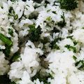 ふぁんたにゃん's cooksnap of when they made パセリだけのごはん.