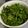 pureyogi's cooksnap of when they made 簡単！がん予防☆たっぷりクレソン.
