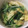matsu1016's cooksnap of when they made 水菜のあっさり中華煮浸し.