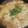 クック0UQ98I☆'s cooksnap of when they made 鶏のかぶみぞれ煮.