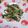 hitomi♪＊'s cooksnap of when they made 水菜とツナの簡単炒めもの☆.