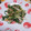 hitomi♪＊'s cooksnap of when they made 水菜とツナの簡単炒めもの☆.