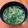 あたりめっこ's cooksnap of when they made 白髪ねぎと水菜の味噌汁.