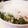 ゆるмαмα's cooksnap of when they made ☆蒸し鶏と三つ葉の梅みぞれポン酢和え☆.