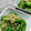 特殊な自由業's cooksnap of when they made ピーマンとじゃこのゆかり炒め.