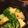 空中逆上がり's cooksnap of when they made ブロッコリーとエリンギのバターしょうゆ.