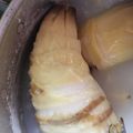 ちゃぎー's cooksnap of when they made 【春】たけのこのゆで方　あく抜き.