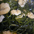 クック031K8G☆'s cooksnap of when they made 簡単 切り昆布の煮物.