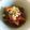 yutamaya's cooksnap of when they made ドイツで作るとろっとろ土手煮.